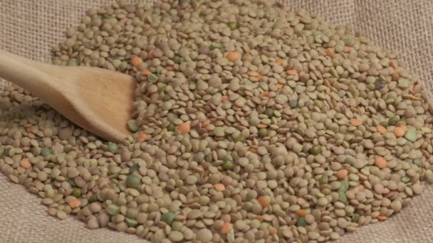 Dry Legume Lentils Mediterranean Food Organic Agriculture Healthy Nutrition Vegan — Stock Video