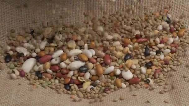 干豆类 小扁豆 有机农业歉收 蔬菜素食蛋白质在地中海健康饮食营养中的来源 — 图库视频影像