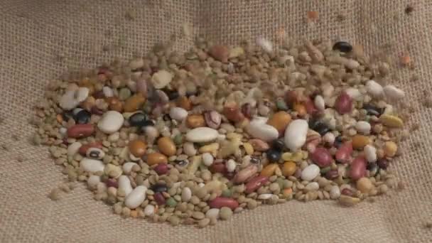 Mixed Legumes Soup Beans Falling Organic Agriculture — Stockvideo