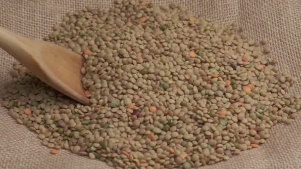 Lentils Dry Legumes Organic Agriculture Vegan Vegetarian Food — Vídeo de Stock