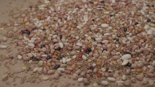 Mixed Legumes Dry Beans Rotating Mediterranean Diet Vegan Vegetarian Protein — Stock Video