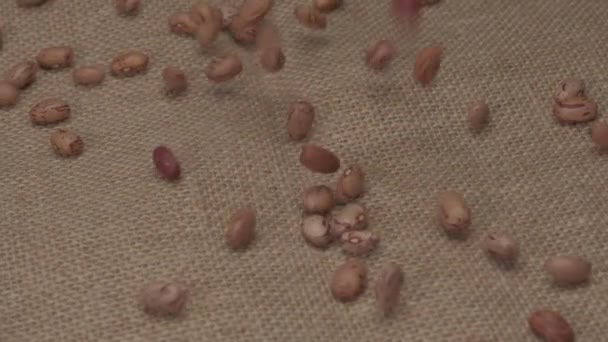 Dry Beans Borlotti Legumes Falling Slow Motion Vegan Vegetarian Food — 图库视频影像