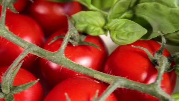 Raw Tomatoes Basil Healthy Vegetarian Vegan Organic Food Close Slider — 图库视频影像