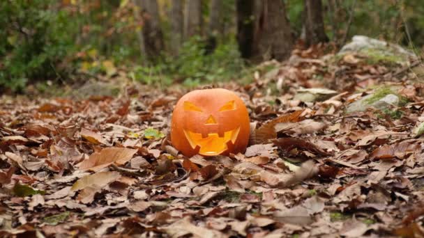 不気味な恐怖秋の森の中でハロウィーンのカボチャの顔 葉はあちこちに出ます 暗闇の中で光るジャック Oランタンの顔を粉砕します — ストック動画