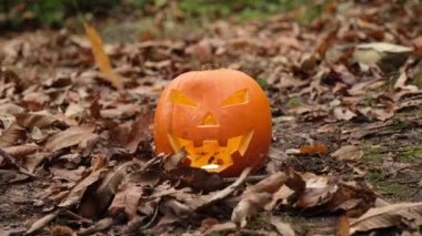 Sonbahar ormanında korkunç Cadılar Bayramı balkabağı suratı. Her yerde yapraklar var. Karanlıkta sırıtan ve parlayan Jack 'O Lantern suratı. Sonbahar yeşilliği.