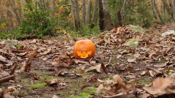 Assustador Horror Halloween Cara Abóbora Floresta Outono Folhagem Sai Por — Vídeo de Stock