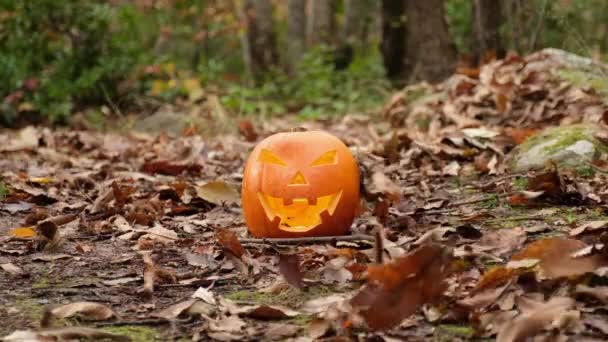 Straszny Horror Halloween Dynia Twarz Jesiennym Lesie Liście Wszędzie Uśmiechnięta — Wideo stockowe