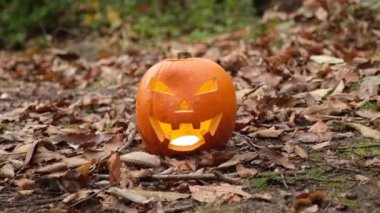 Sonbahar ormanında korkunç Cadılar Bayramı balkabağı suratı. Her yerde yapraklar var. Karanlıkta sırıtan ve parlayan Jack 'O Lantern suratı. Sonbahar yeşilliği.