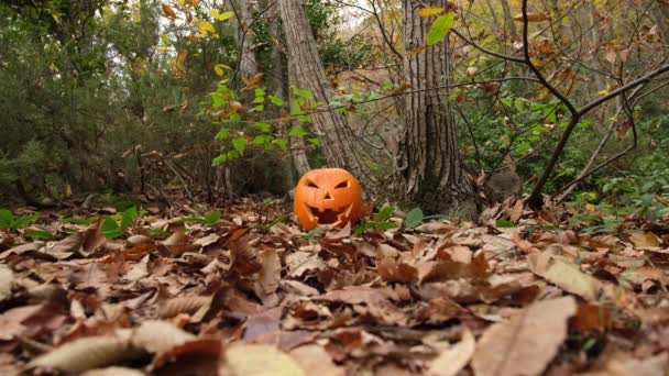 Horreur Effrayant Visage Citrouille Halloween Dans Forêt Automne Feuillage Feuilles Vidéo De Stock Libre De Droits