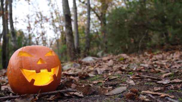 Жуткий Ужас Хэллоуин Тыквенное Лицо Осеннем Лесу Леса Повсюду Листья Лицензионные Стоковые Видео