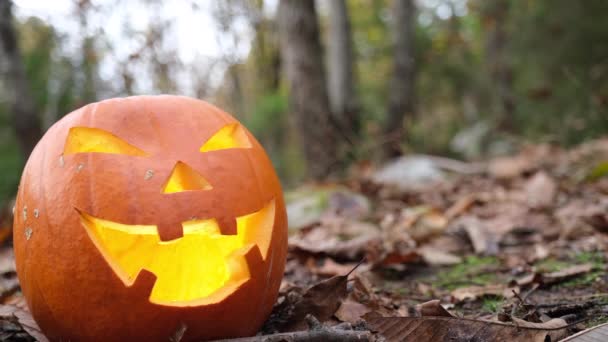 Gruseliges Grusel Halloween Kürbisgesicht Herbstwald Laub Geht Ringsum Grinsendes Und — Stockvideo