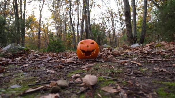 Straszny Horror Halloween Dynia Twarz Jesiennym Lesie Liście Wszędzie Uśmiechnięta — Wideo stockowe