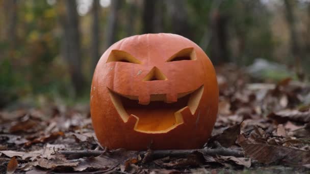 恐怖的万圣节南瓜脸在秋天的森林里 四处都是民谣 在黑暗中笑容满面的杰克的脸 秋天的树叶 — 图库视频影像