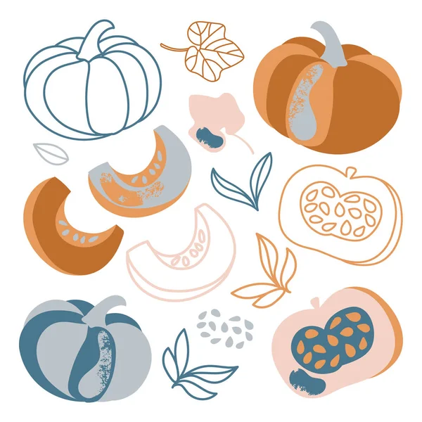 Set Illustrazione Vettoriale Disegnato Mano Vegetale Autunno Pumpkin — Vettoriale Stock