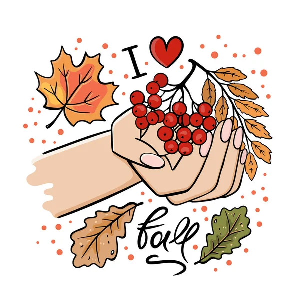 Mano Con Rowan Branch Autumn Leaves Illustrazione Vettoriale — Vettoriale Stock