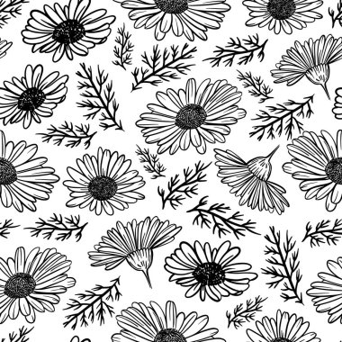 Çimenli Yaban Çiçekleri ve Beyaz Arkaplan Botanik Çiziminde Bud Çizimi Çizimsiz Desensiz Çizim Vektör İllüzyonu