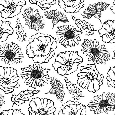 POPPY VE CAMOMILE Tek Renkli Çiçek Çimenli Çizim ve Bud Beyaz Arkaplan Botanik Çizgisi Çizimlerinde Çizimsiz Desensiz Çizim Vektör ResimleriName