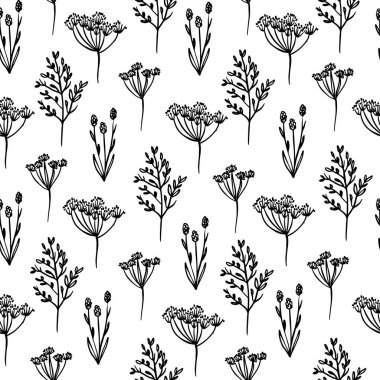 Yaban Çiçekleri Beyaz Arkaplan Botanik Çiziminde Soyut Bitkilerle Tek Renkli Çiçek Çizimi Yazdırma Yöntemi Çizimi
