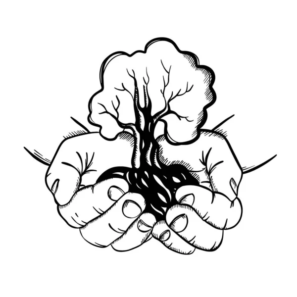 Mãos Holding Palmas Humanas Árvore Com Símbolo Vida Nova Crescimento — Vetor de Stock