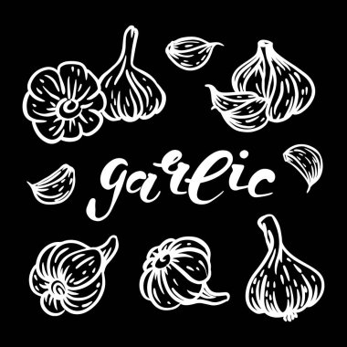GARLIC GERÇEK GÖREVLERİ Tek Renkli Çizim Klip Sanat Sanatı İllüstrasyonunda Restoran Market Menüsü ve Yemek Marketi Tasarım Mönüsü