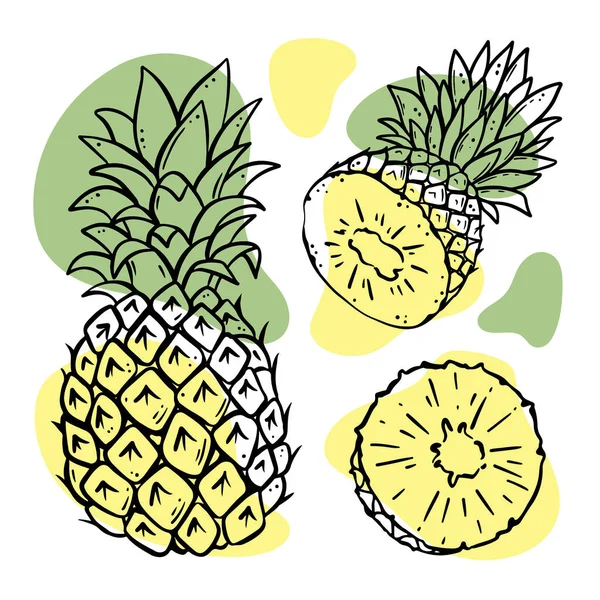 Pineapple有機農産物のデザインのための葉とおいしいトロピカルフルーツ全体とスライススケッチベクトルイラストセットでショップやデザートドリンク — ストックベクタ