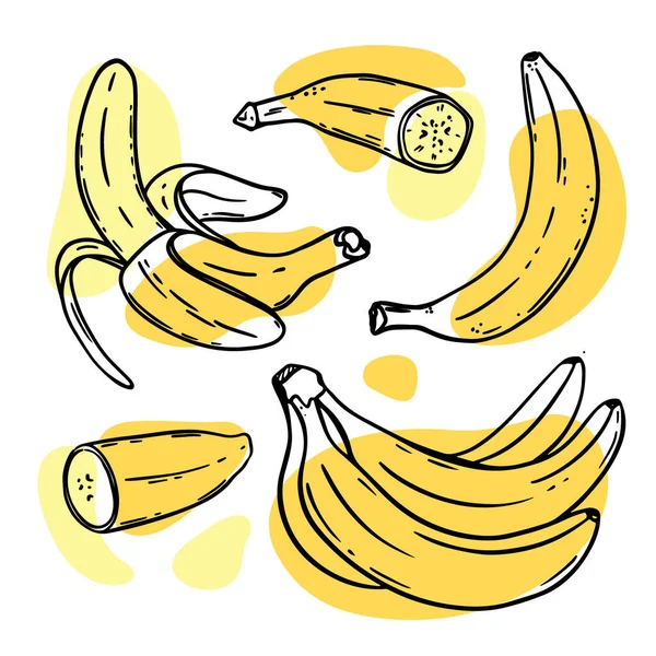 バナナスリップおいしいトロピカルフルーツ個別に皮をむき スケッチスタイルで束天然物のデザインショップクリップアートベクトルイラストセット — ストックベクタ