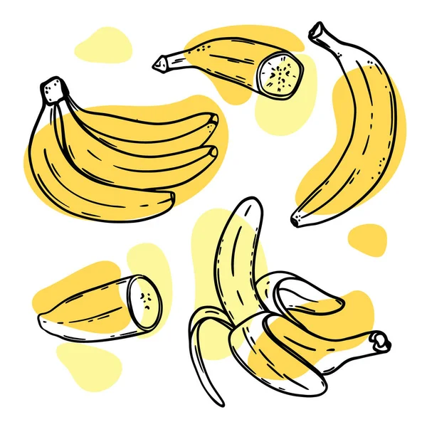 Ripe Bananas Delicious Tropical Fruit Individually Peeled Bunch Sketch Style —  Vetores de Stock