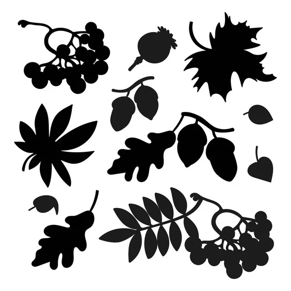 Autumn Symbols Plotter Collection Monochrome Contours Forest Elements Leaves Mushrooms — Stock Vector