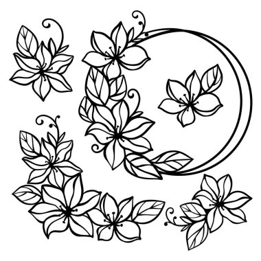 CLEMATIS Çizgisi Sanat Düğün Monokrom Koleksiyonu Çiçeklerden ve Çiçeklerden Açık Çerçevedeki Buketler Çizgi Çizgi Filmi Climents Vektör İllüstrasyonları Ayarları