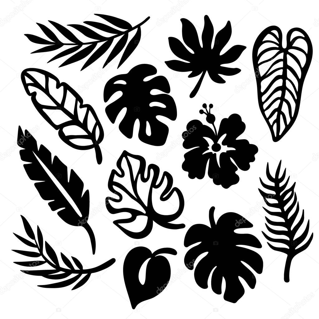 TROPIC LEAVES Monochrome Collection Leaves Of Exotic Plants Carved Openwork Contours For Print And Plotter Cutting Cliparts Vector illustration Set