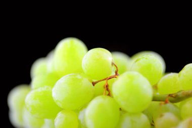 Yeşil üzüm