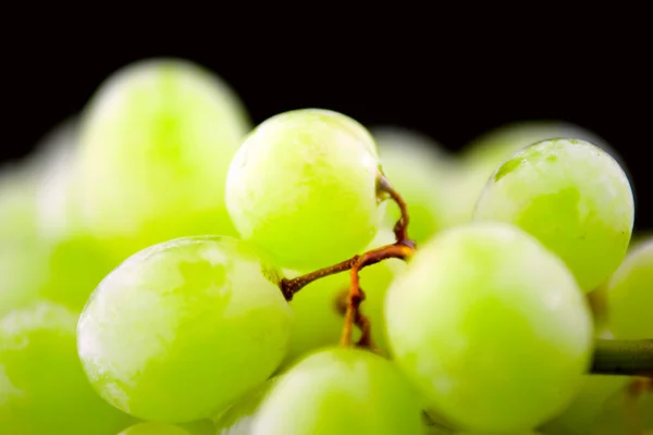 Grapes in green — Stock Photo, Image