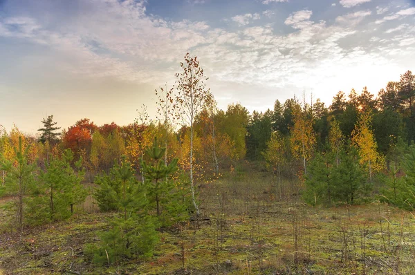 Jesienny krajobraz. — Zdjęcie stockowe