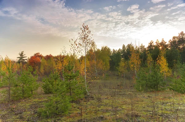 Paesaggio d'autunno. — Foto Stock