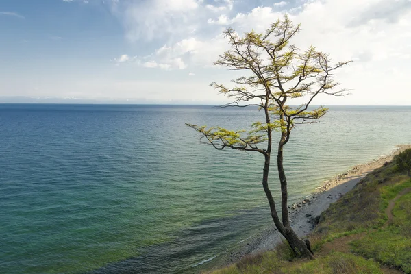 Lago Baikal . — Fotografia de Stock