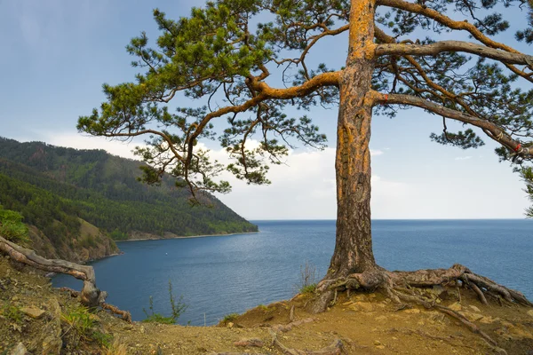 Lago Baikal . Imágenes de stock libres de derechos