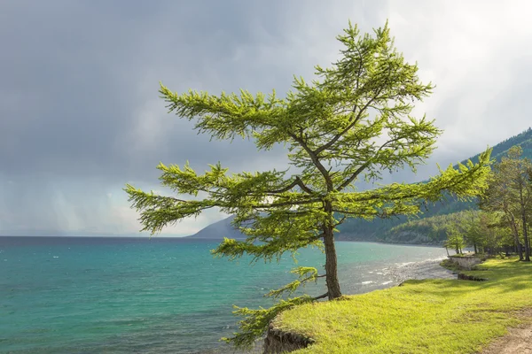 Λίμνη Baikal — Φωτογραφία Αρχείου