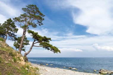 Manzara, Deniz Baykal