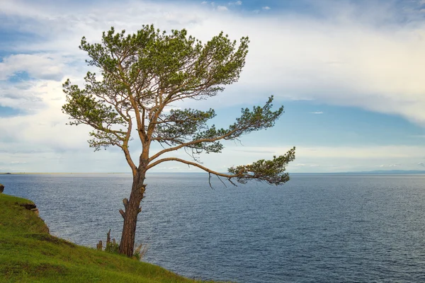Landscape at Lake Baikal — Stock Photo, Image
