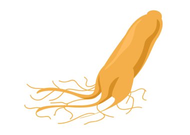 Ginseng beyaz, ginseng kökü, klipsli ginseng.