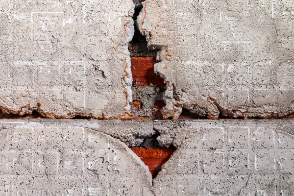 termite nest, termite nest in the cracks cement wall