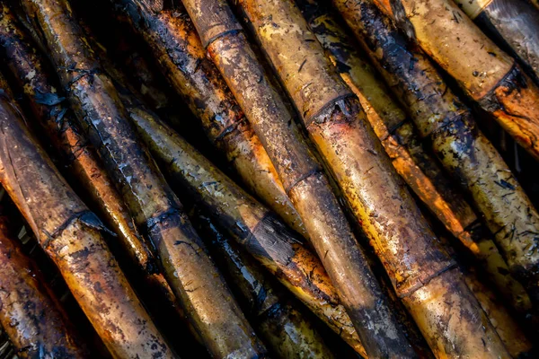 Suikerriet Verbrand Het Oogstseizoen Suikerriet Vers Suikerriet Verbrand Het Veld — Stockfoto