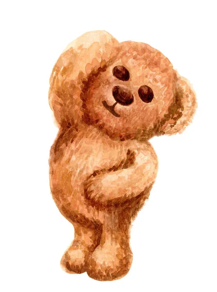 Hnědý Medvěd Roztomilý Akvarel Izolované Bílém Ilustrace Medvěd Panenka Barva — Stock fotografie