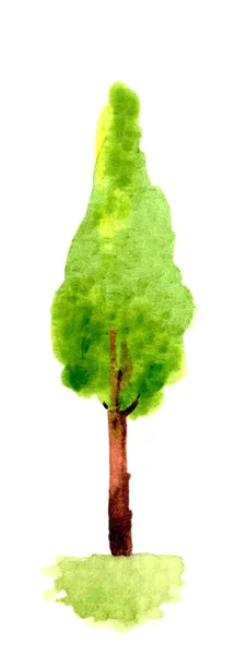 Árvore Aquarela Mão Desenhar Para Crianças Arte Ilustração Árvore Forma — Fotografia de Stock