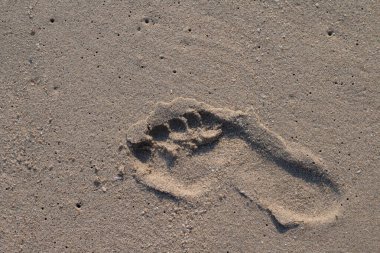 Tatilde kumsalda ayak izleri, özgürlük yolculuğu ve seyahat konsepti