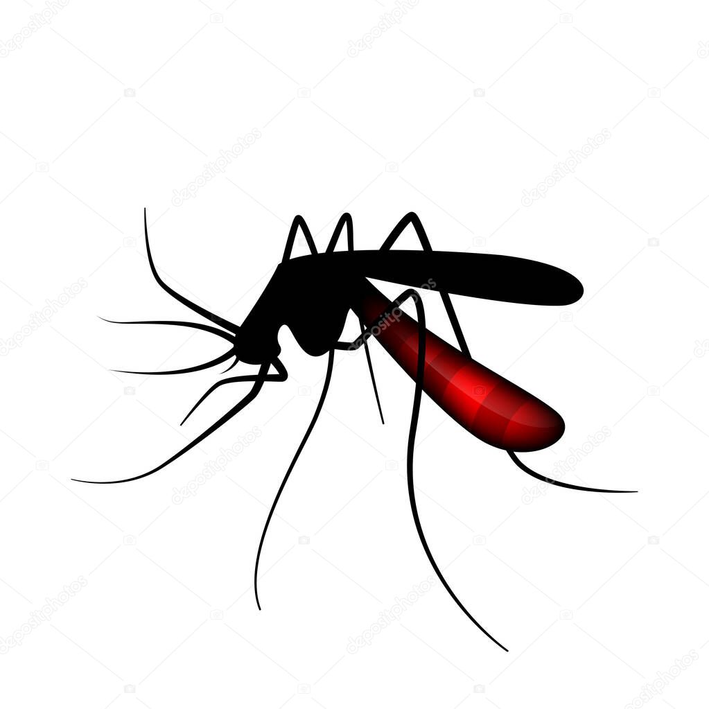 mosquito silhouette, blood sucking mosquitoes isolated on white, illustration mosquito for clip art