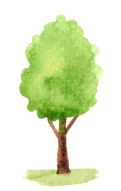 Ağaç boyası çizimleri, suluboya el resimleri.