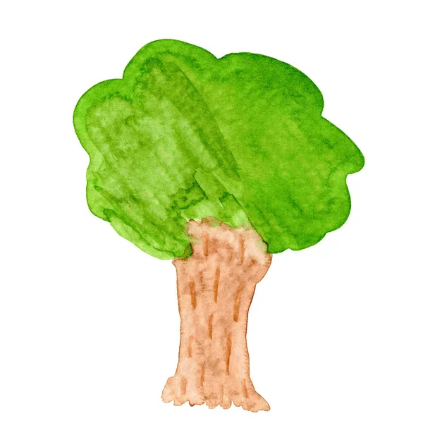 Baum Aquarell Illustration Baum Hand Für Kind Und Kind Kunstkonzept — Stockfoto