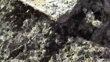 Traktör çamurlu pirinç tarlası, çeltik çamuru, tarımdan sonra tarımda toprak dokusu ve tarım sürecini gösteriyor, yakın plan.