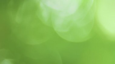 Doğadan gelen yumuşak yeşil bokeh ışığı sakin ve ferahlatıcı bir atmosfer yaratır. Ekonomi, sağlık ve rahatlama için mükemmel bir ortam.